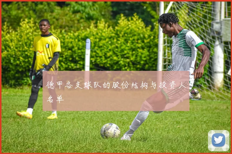 德甲各支球队的股份结构与投资人名单