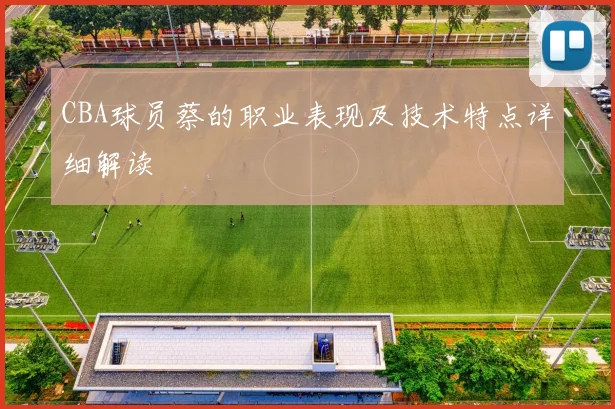 CBA球员蔡的职业表现及技术特点详细解读