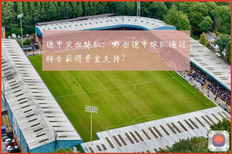 德甲卖血球队:哪些德甲球队通过转会获得资金支持?