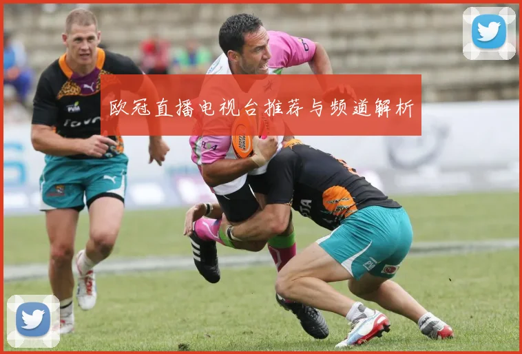 欧冠直播电视台推荐与频道解析